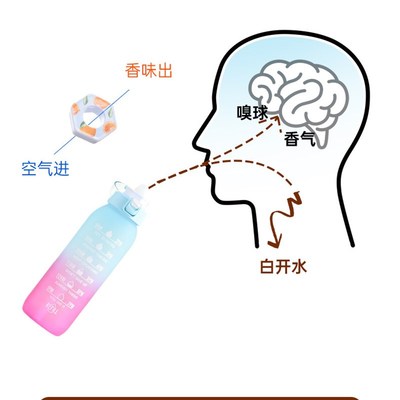 喝水神器香味环水果味环气味香氛杯变气味玩味渐水杯子网红2024