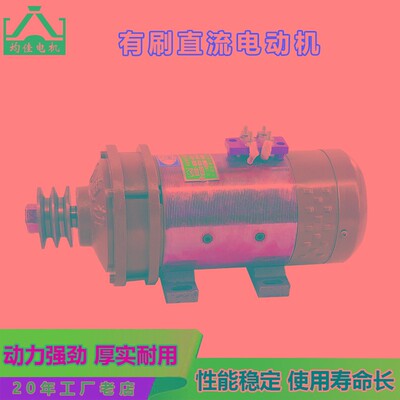 直流电动机大棚卷帘机24伏36v500w48v1200w60V1300直流有刷电机