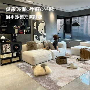 轻奢法式 地毯客厅新款 高级感卧室地垫大面积全铺防滑垫子床边坐垫