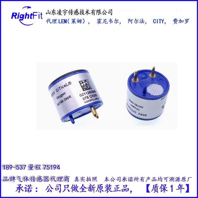 CITY英国4OXV氧气O2传感器AAY80-390R-BW仪表维修SR-X2V, 4O2-GP