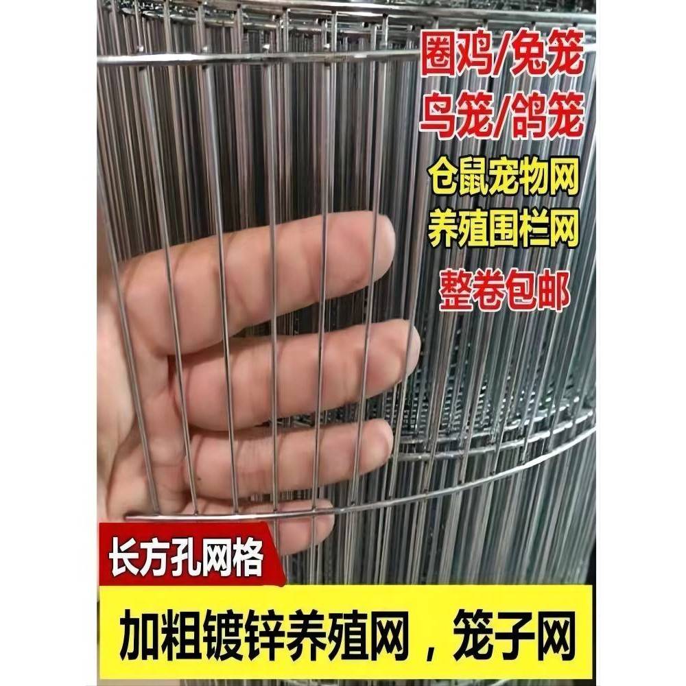 镀锌鸟笼网鹌鹑网铁丝网钢丝网养殖网养殖场养鸡铁丝钢丝养殖围网