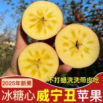 正宗贵州威宁高山苹果冰糖心丑苹果现摘新鲜孕妇水果精选脆甜9斤