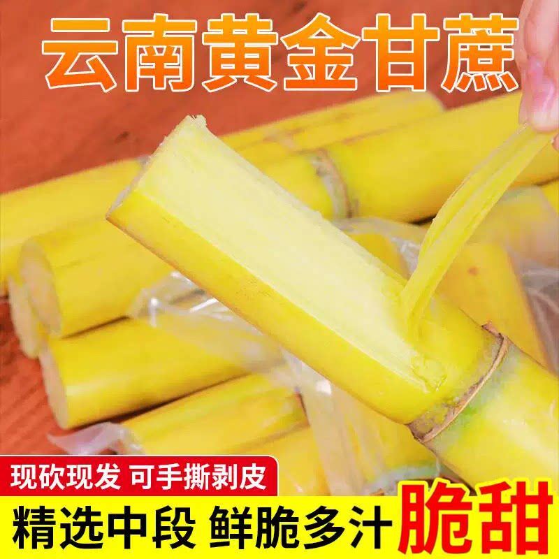 云南脆皮黄金甘蔗脆甜现砍现发黄皮甘蔗现砍新鲜应季水果甘蔗多汁