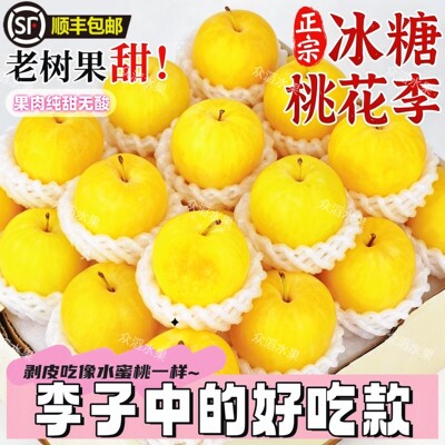 顺丰现摘纯甜桃花李冰糖李四川汉源玉皇李脱骨黄金奈青脆李黄李子