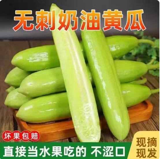 顺丰山东潍坊无刺奶油小黄瓜新鲜现摘生吃清脆水果白玉青瓜蔬菜