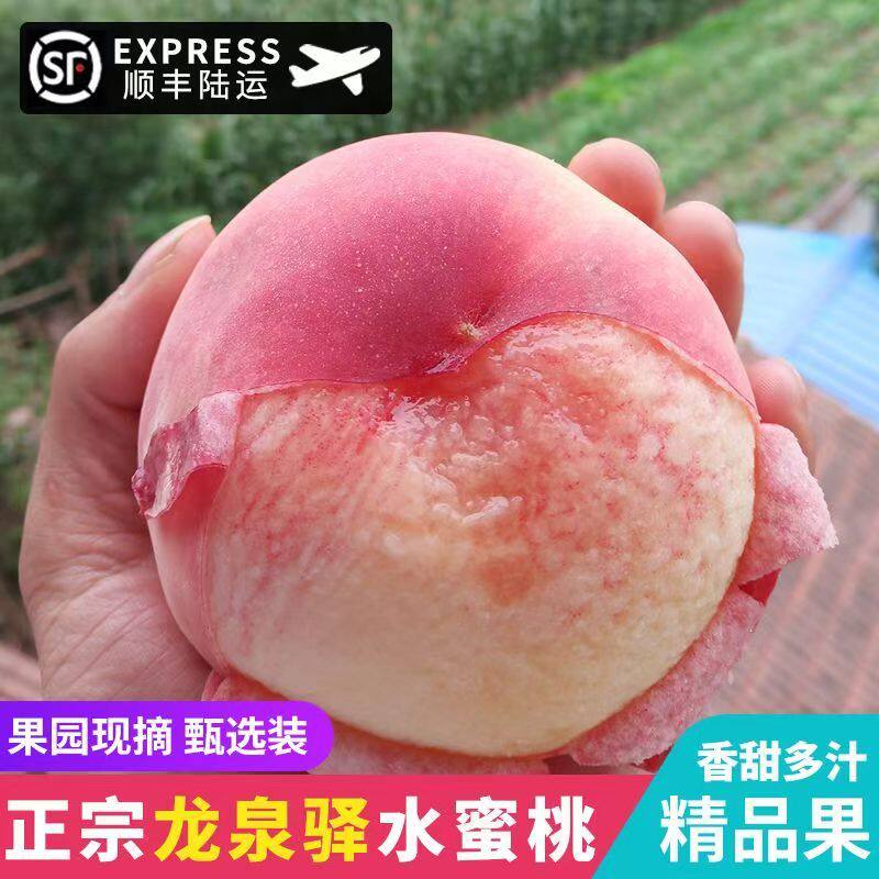 顺丰四川成都龙泉驿水蜜桃桃子新鲜应季水果可撕皮现摘五月鲜桃
