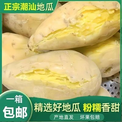 白皮黄心板栗薯正宗潮汕番