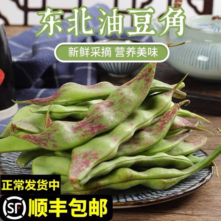 顺丰现摘东北特产油豆角一点红新鲜当季蔬菜九月青面扁豆角农产品