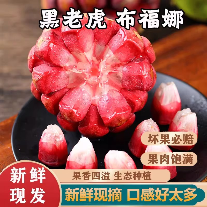 现货速发黑老虎布福娜果恶魔果实新鲜稀奇古怪的水果罕见稀有当季