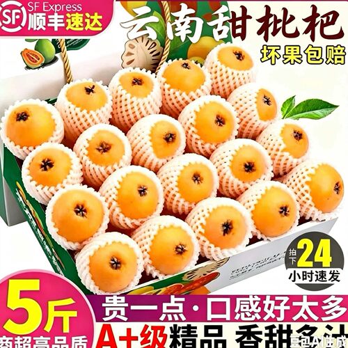 枇杷鲜果甜枇杷大果当季树上熟产区云南蒙自高山现摘新鲜长虹枇杷