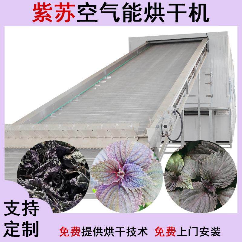 紫苏叶烘干机连续式赤苏皱苏香苏叶多层烘干设备大型尖苏干燥机