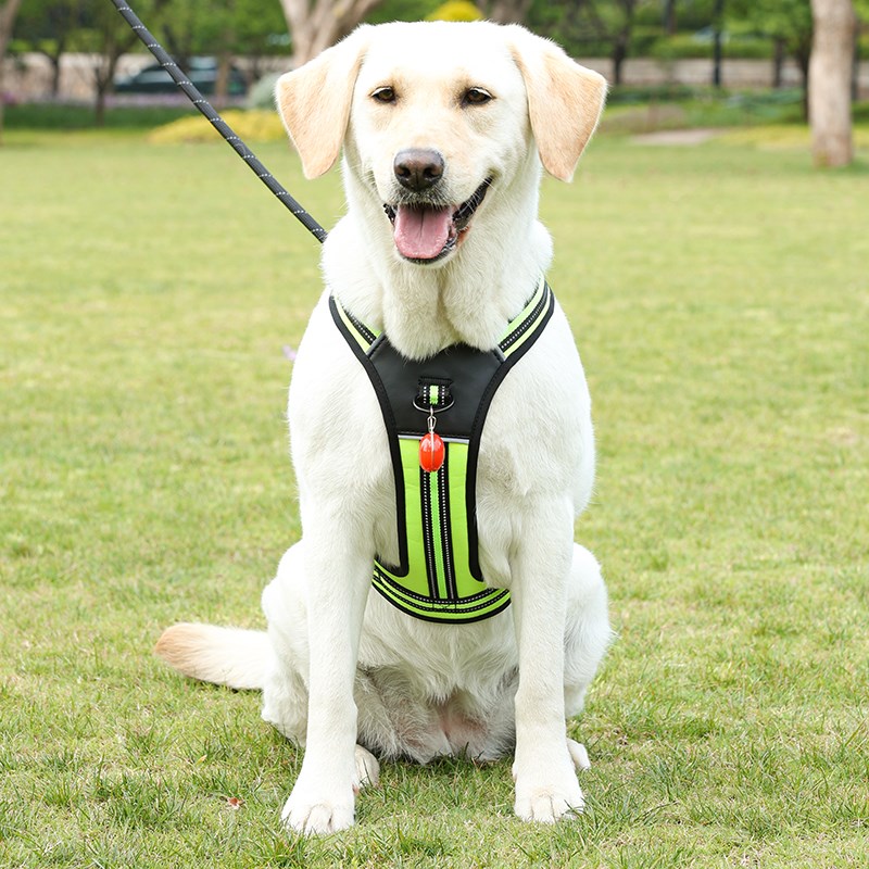 狗绳子牵引绳中大型遛狗胸工字背带拉布拉多金毛外出牵引绳遛狗链