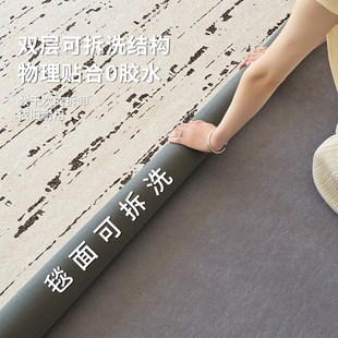 沙发卧室家用双层可拆洗奶油风轻奢高级感 可机洗地毯客厅2024新款