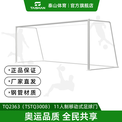 泰山体育11人制足球门