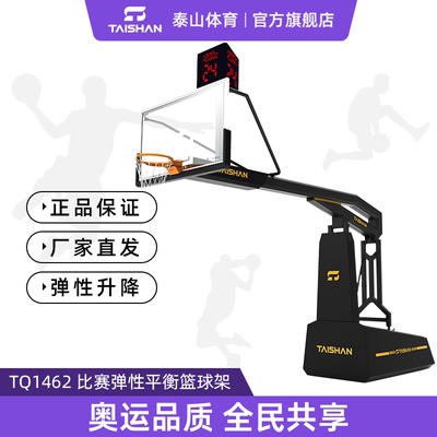 泰山篮球架校体育馆升降篮球架