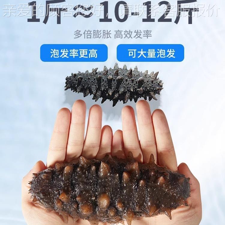 海不参泡发柜929鲍鱼燕窝花胶冷藏锈虫草钢低温草展示柜中药滋补