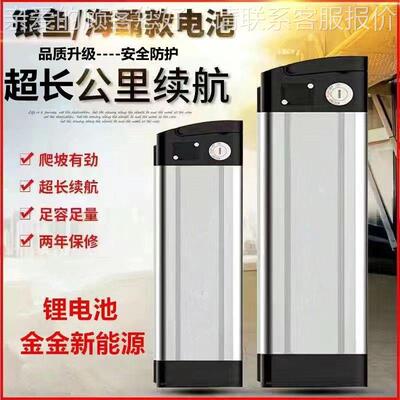 款48v锂电车池银鱼通海霸款电动车锂电池代驾328用款大容量