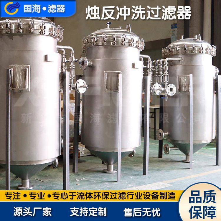 烛式反冲洗过滤器不锈钢烧结网滤芯精密过滤器化工行业过滤器