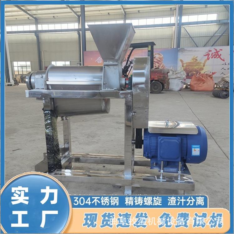 定制苹果葡萄榨汁机大型猕猴桃枇杷去核打浆机商用凤梨渣汁分离机