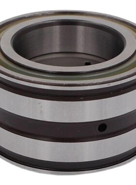 德国INA轴承 SL 183014 183015 183016 183017 183018-A 进口满装