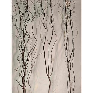 原生态自然天然树枝 带皮原色形态丰富造型独特云龙柳树枝干树枝