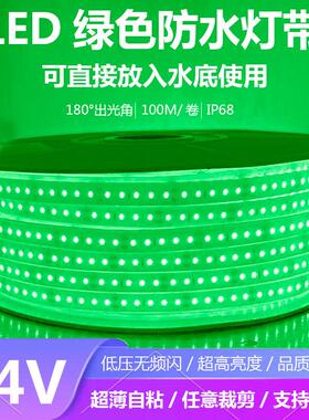 绿色灯带24V户外防水水下超亮绿植水草亮化装饰低压24伏绿光灯带