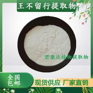 王不留行提取物 王不留行水溶粉 留行子中药材提取喷干粉厂家直销