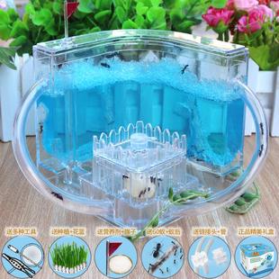 蚂蚁工坊宠物玩具家园城堡学生礼物庄园生态巢别墅沙堡弓背蚁后窝