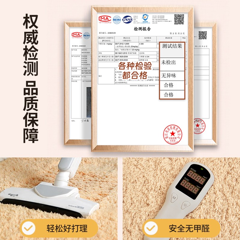 地毯客厅卧室2024新款床边毯高级感免洗可擦毛毯地垫房间茶几加厚