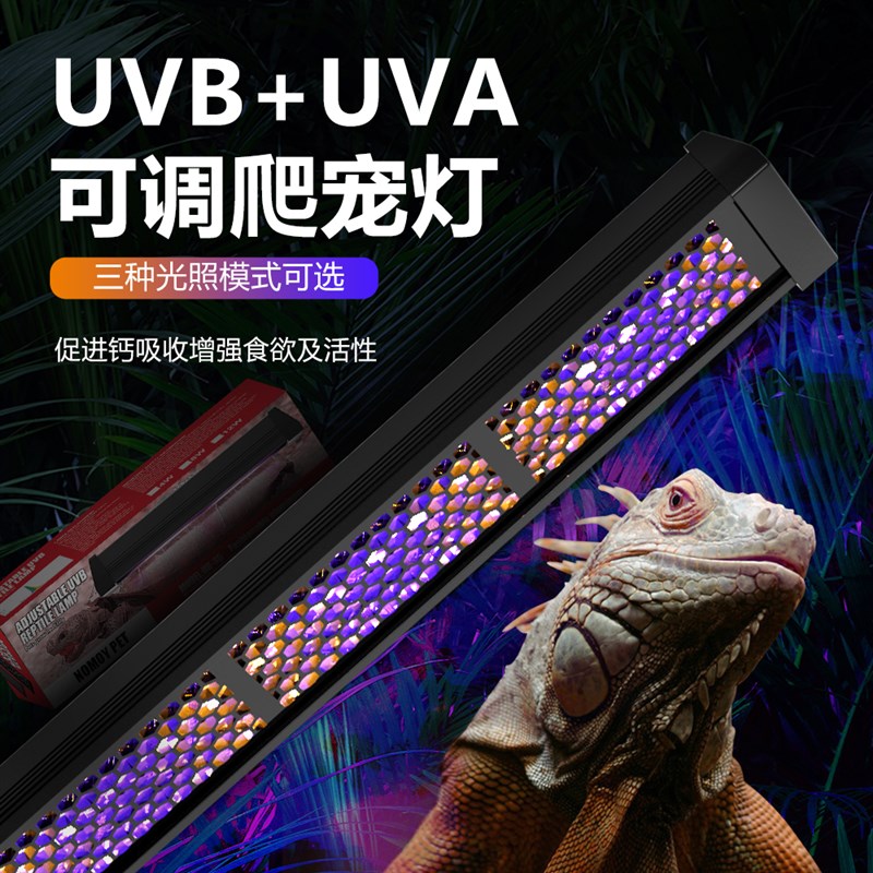 爬虫可调节UVB灯晒背灯UVA爬宠灯陆龟鬃狮蜥蜴爬箱雨林缸LED晒灯