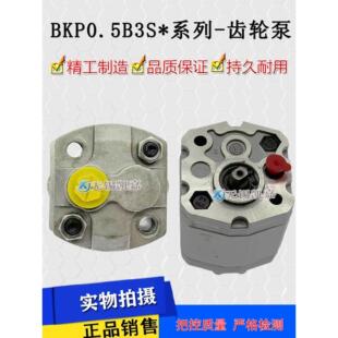 伯顿博登齿轮泵Bkp0.5B1D0.38G0L2/0.26G0L2动力单元可调液压泵