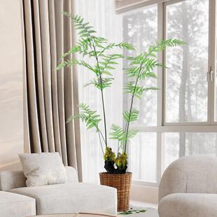 斯堪的纳维亚人造植物金丝猴金毛蕨类假树彷生绿色植物室内装饰盆