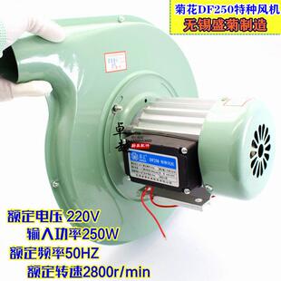 正品菊花鼓风机 菊花DF250特种风机无锡盛菊炉灶风机 DF180w风机