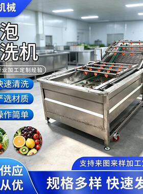 不锈钢气泡清洗机果蔬压喷淋清洗设备水果去农残净化加工机械