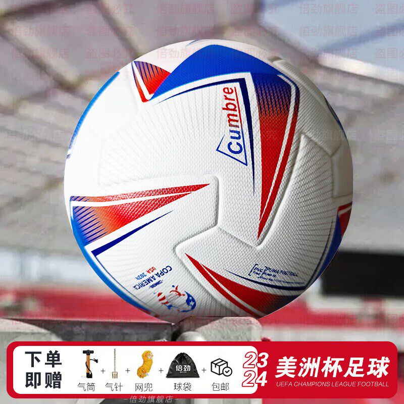 美洲杯足球2024成人5号足球比赛球耐磨青少年标准球儿童