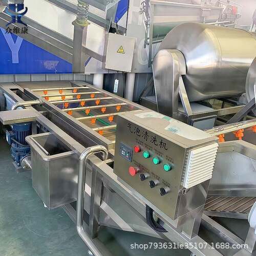 商用大型果蔬气泡清洗机海酸水菜清洗TGV脱洗盐带设备海鲜产清机