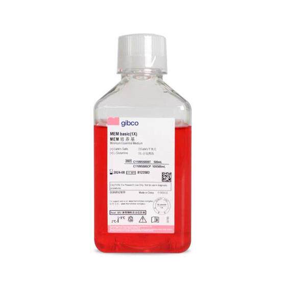 Gibco/MEC1109BT细胞培