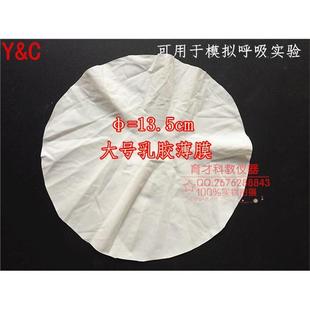 13.5cm模拟呼吸实验配套用薄膜 橡胶乳胶膜橡皮膜大号 专用配件