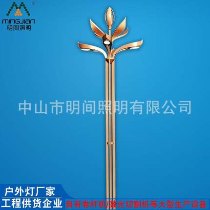 户外道路景观LED中华灯8米12米市政道路广场公园玉兰灯道路灯