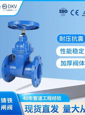 DKVZ45X-16Q球墨铸铁暗杆法兰软密封闸阀管道弹性手动闸阀