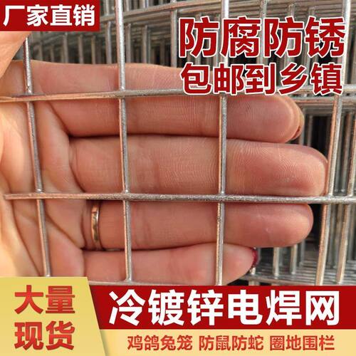 铁丝网围栏护栏网玉米网整卷铁z丝镀锌电焊网阳台防护防鼠网养殖