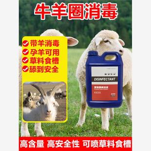 羊圈专用消毒液羊舍消毒液羊圈消毒液兽用牛羊圈消毒液养殖场专用