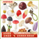 仿真毒蘑菇道具香菇菌类假水果蔬菜模型摆件儿童认知早教场景装 饰