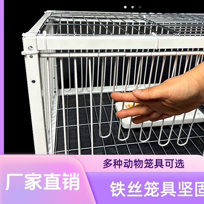 鸽子撞门天落笼活络门笼鸽笼铁笼组装 加密防锈铁丝笼 养殖笼图片