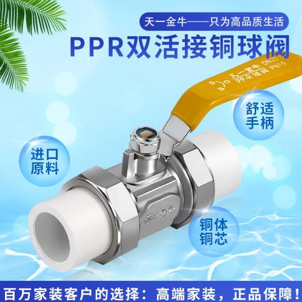 天一 金牛 家装PPR双头活接铜球阀20 25 32 4分 6分 ppr水管配件,基础建材,PPR管,淘宝优惠券,粉丝福利购,淘宝优惠卷