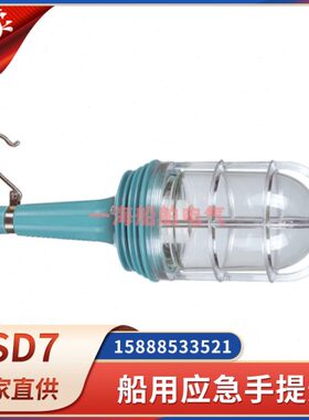 船用手提灯CSD7/8手柄塑料带钩式户外作业灯防水树脂网罩24V250V