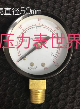 Y-50 0-30psi 0-2kg/cm2 直径50mm表面 径向立式 气压水压压力表