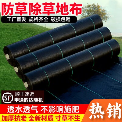 防草生态布透气渗l水除草地布透水加厚抗老新材料寸草不生种菜黑