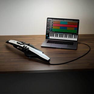 罗兰AE-30电吹管电萨克斯AE20自带音源电子管乐AE10升级款