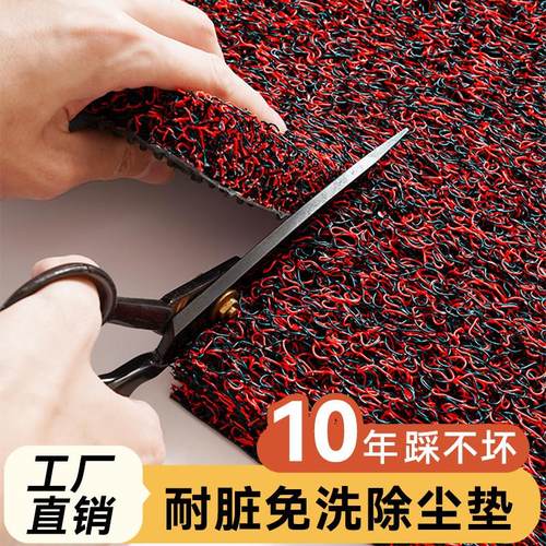 丝圈地垫门口门外进门脚垫除尘玄关门垫耐脏防水防滑垫入户门地毯
